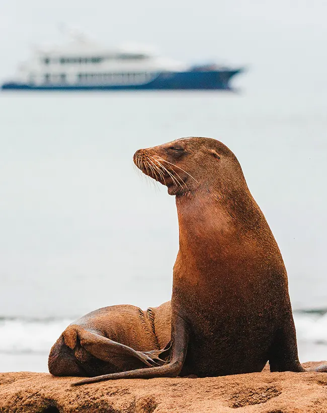 ecoventura-charters-gallery-02