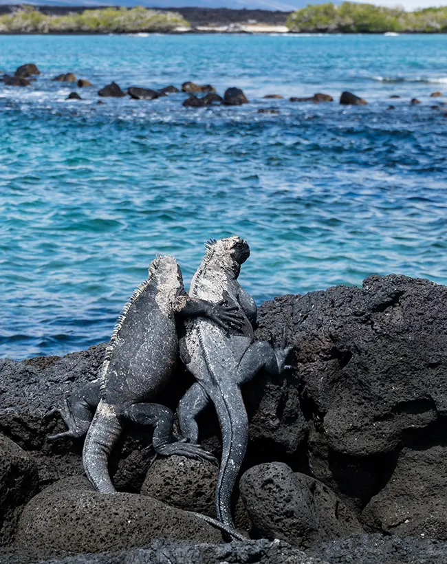 ecoventura-charters-gallery-03