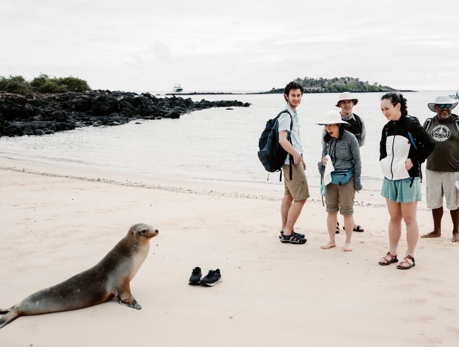 people interacting with sea lions in the galapagos islands