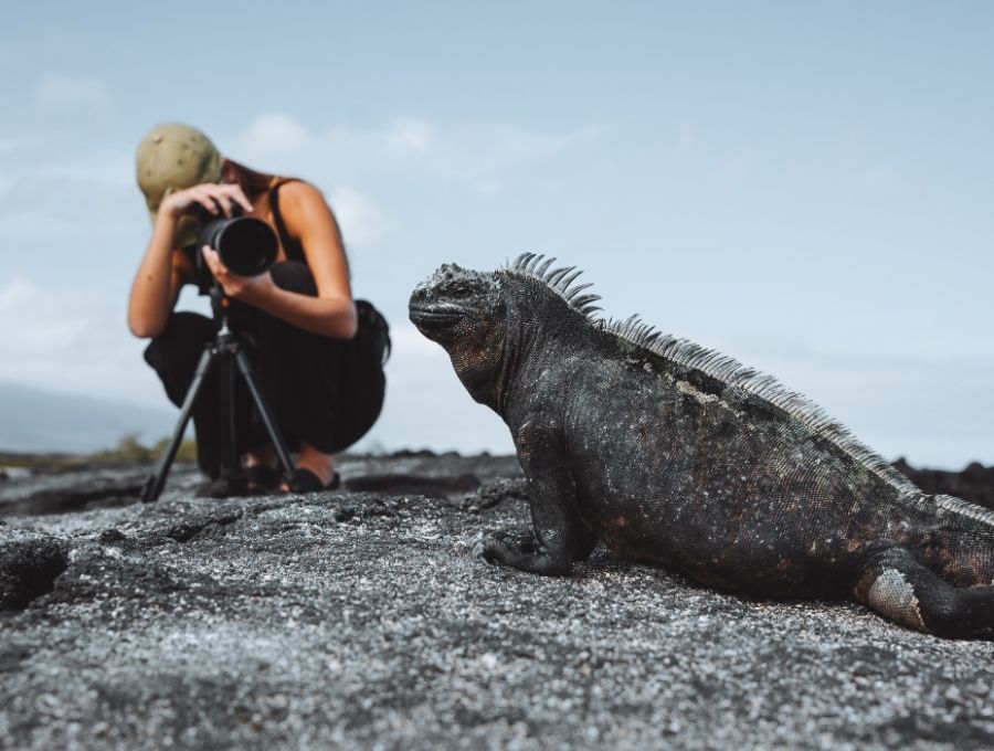 photographer capturing close up of galapagos wildlife