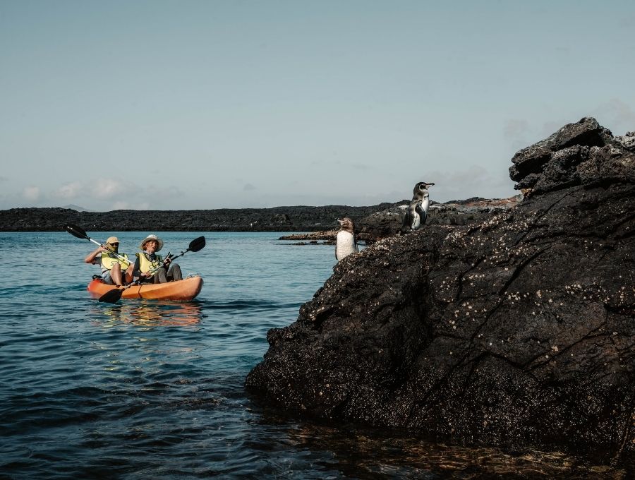 galapagos kayak