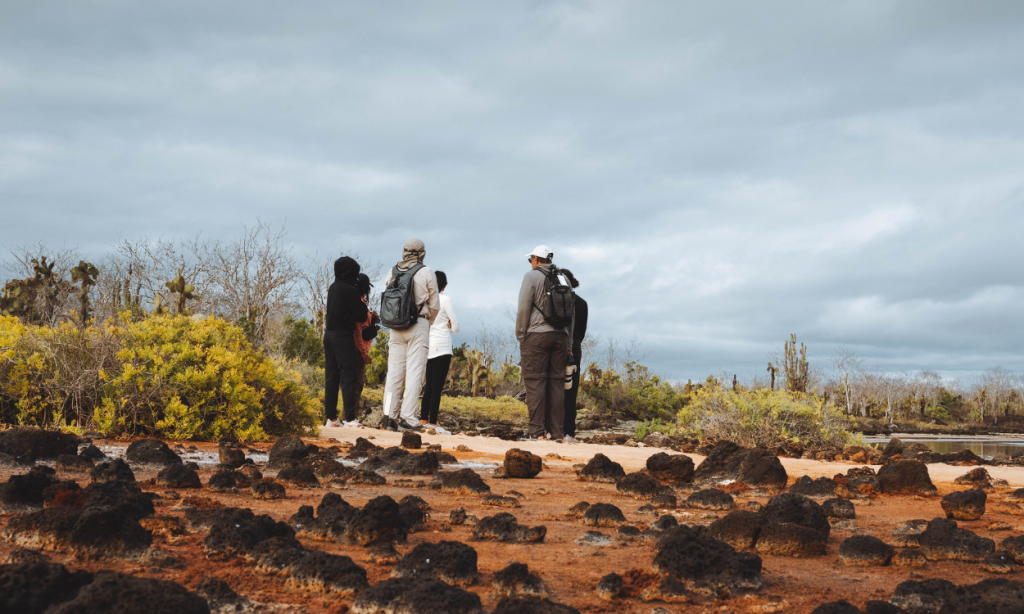 Galapagos volcanic terrain Itinerary B