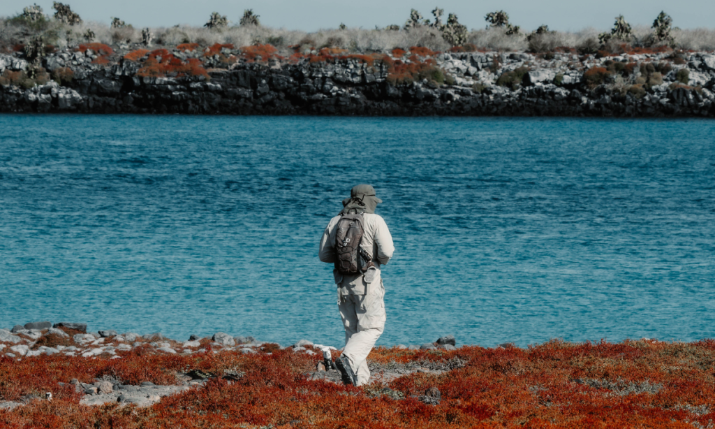 Wildlife highlights Itinerary B Galapagos