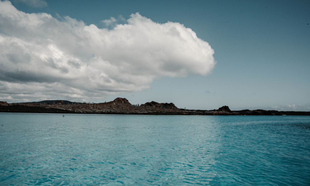 Wildlife highlights Itinerary A Galapagos