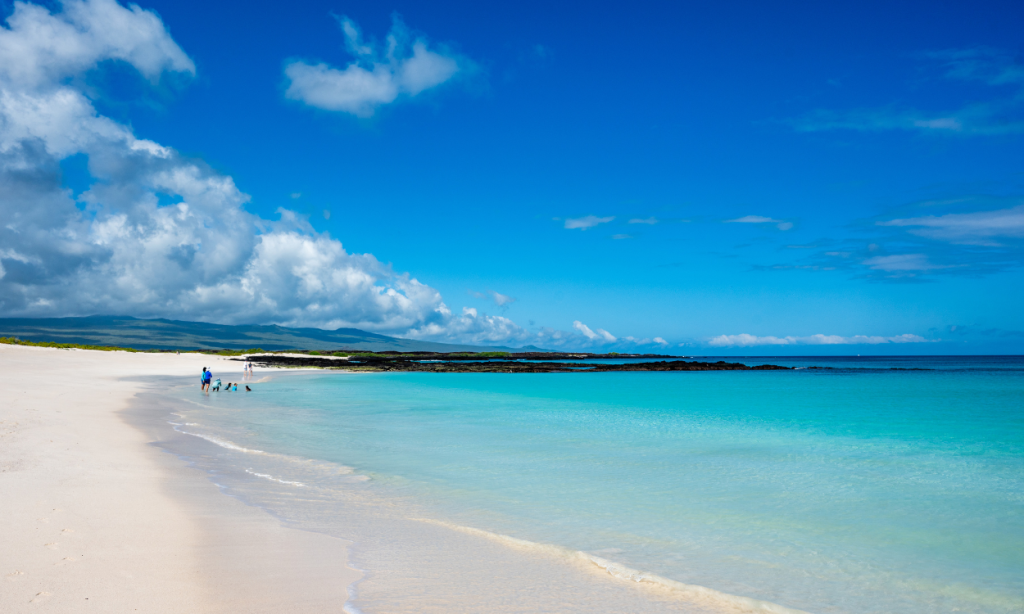 Galapagos cool dry season June to November