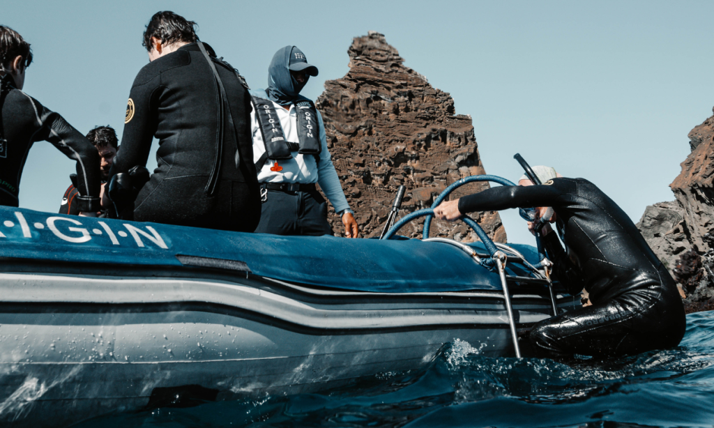 Galapagos diving season month-by-month