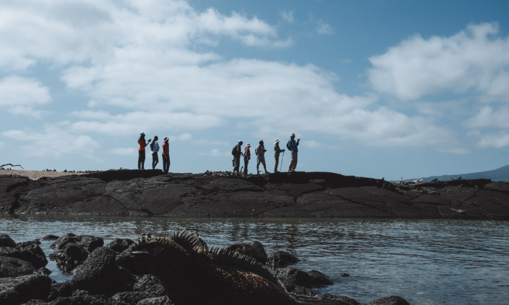Ecoventura Galapagos wildlife encounters