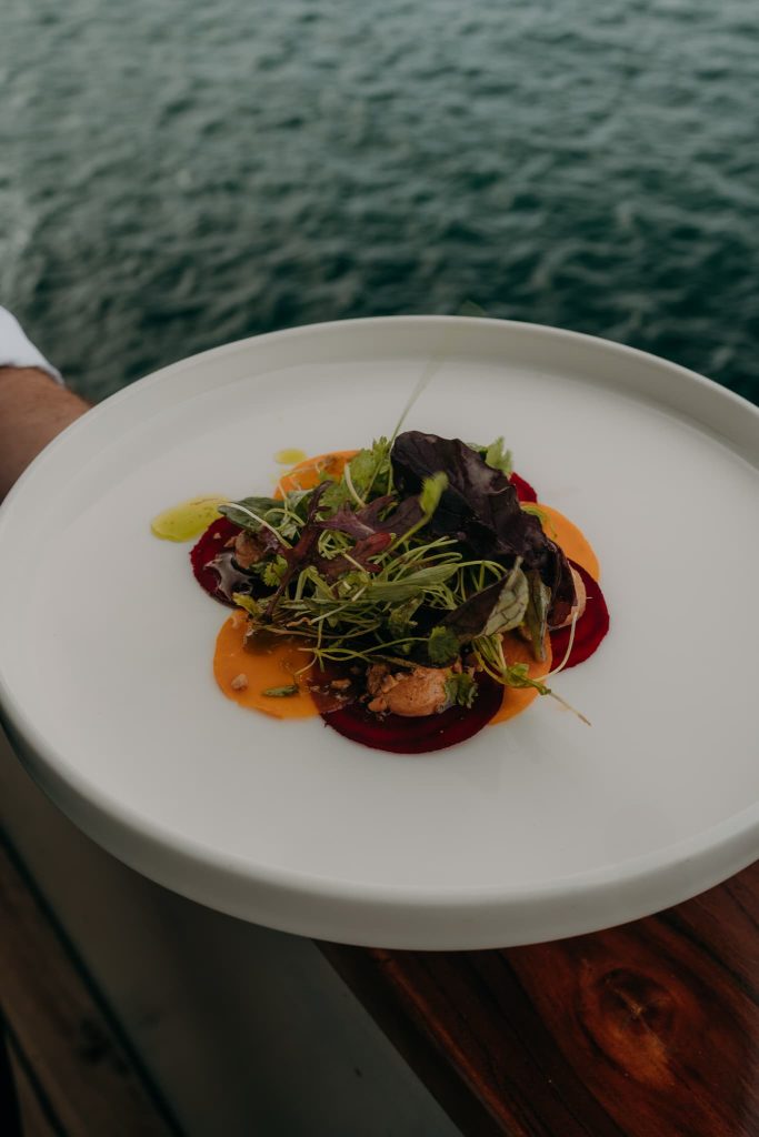 Ecoventura World Oceans Day 2025