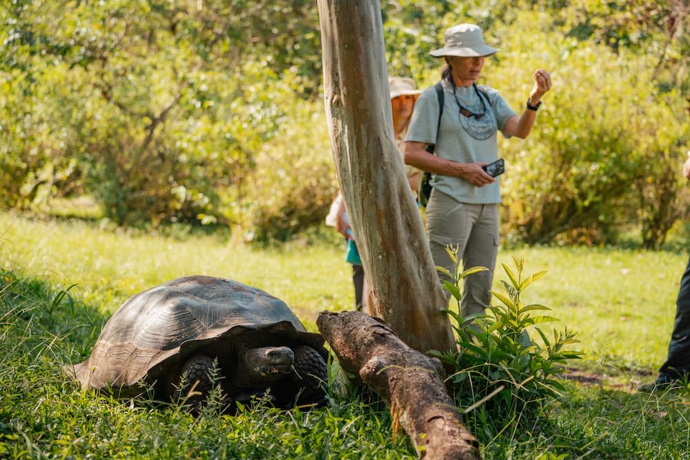 adaptation reptiles volcanic terrain Galapagos