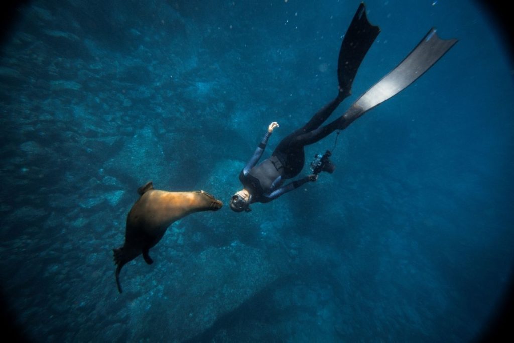 Luxury expedition yachts solo travelers