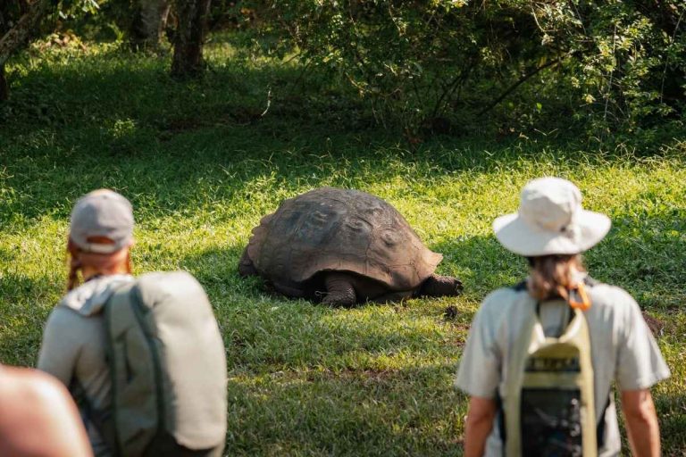 Galapagos multi-generational travel Tips luxury cruises