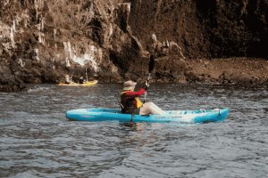 visit the Galapagos in the Spring