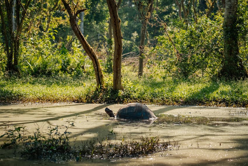 Galapagos cruise Ecuador mainland