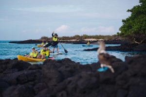 summer in the galapagos, family trip