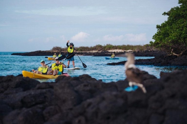 summer in the galapagos, family trip