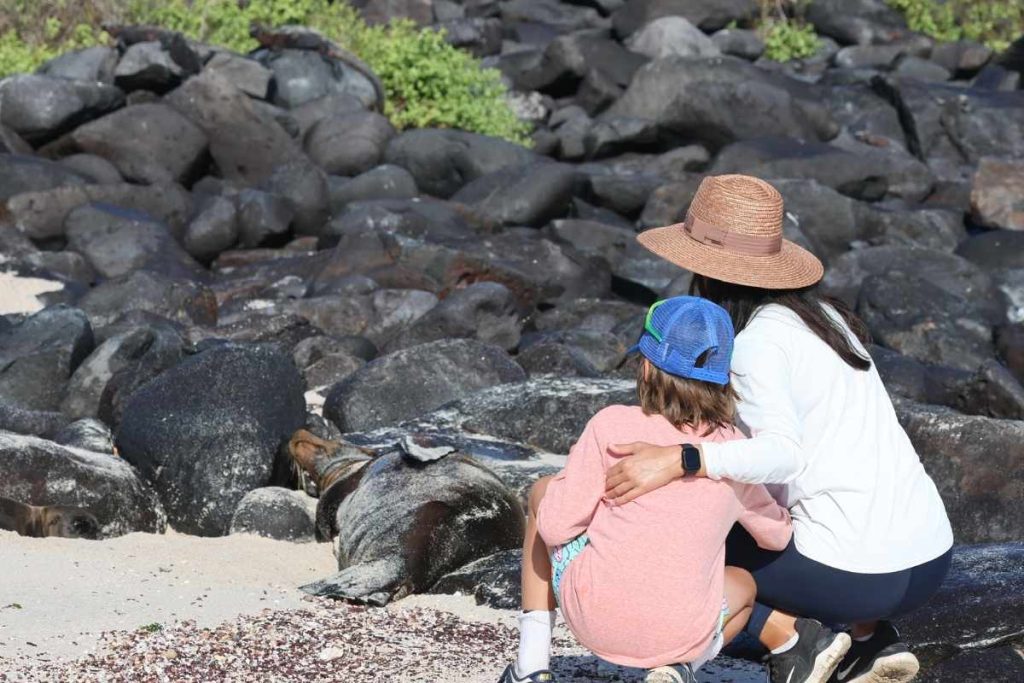 galapagos summer family cruise