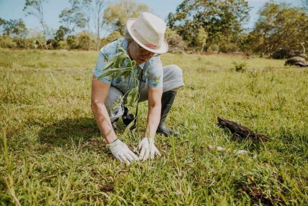 Galapagos luxury travel