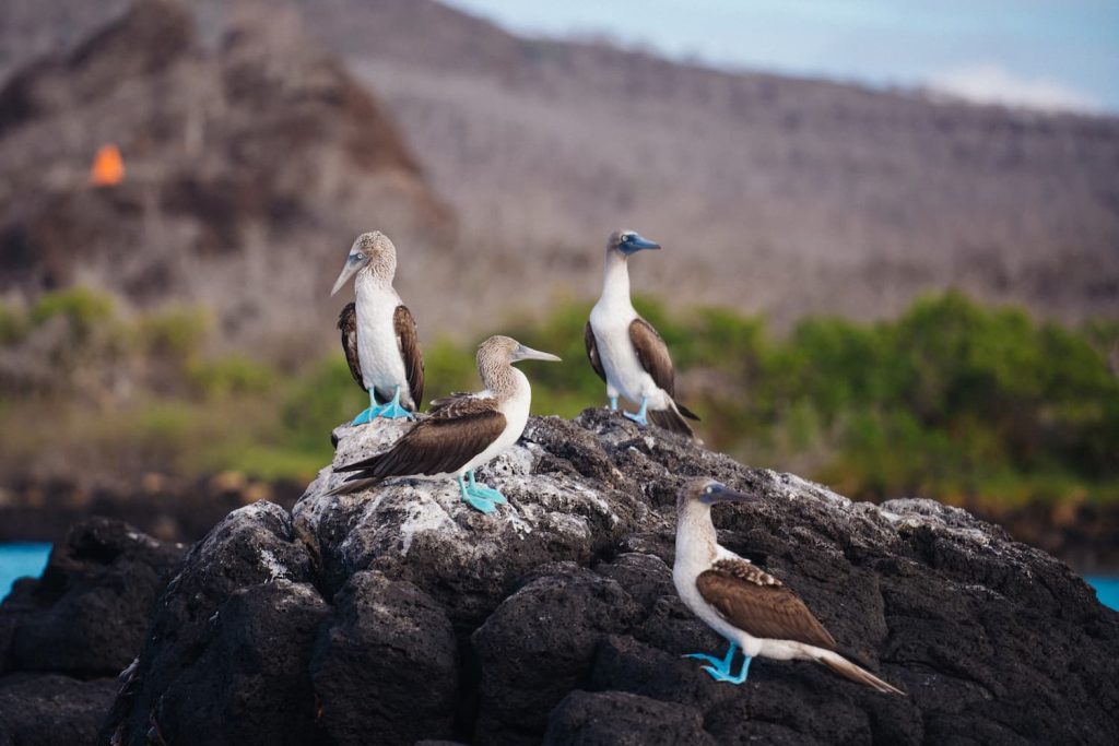 Beaches and Bays itinerary