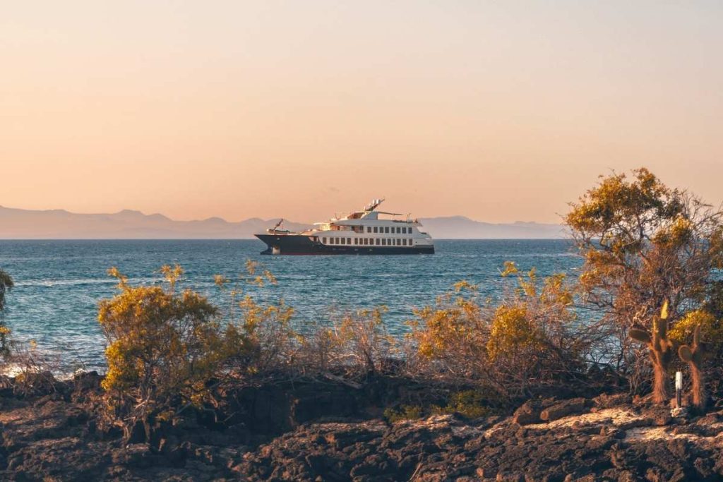 best intimate cruise for Galapagos islands