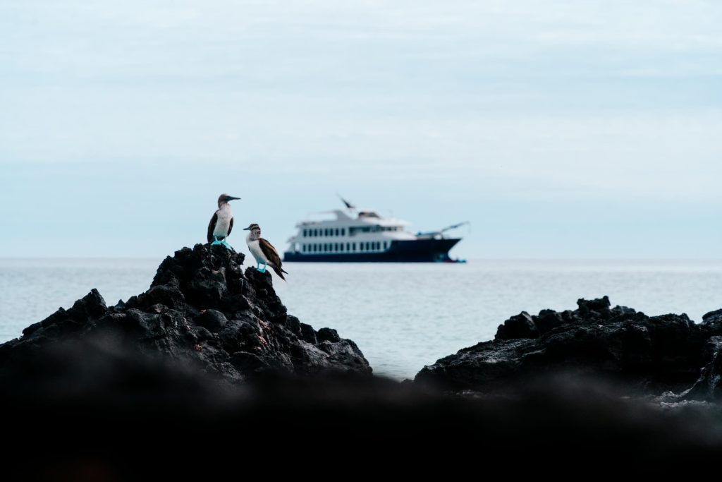 best months for a Galapagos cruise