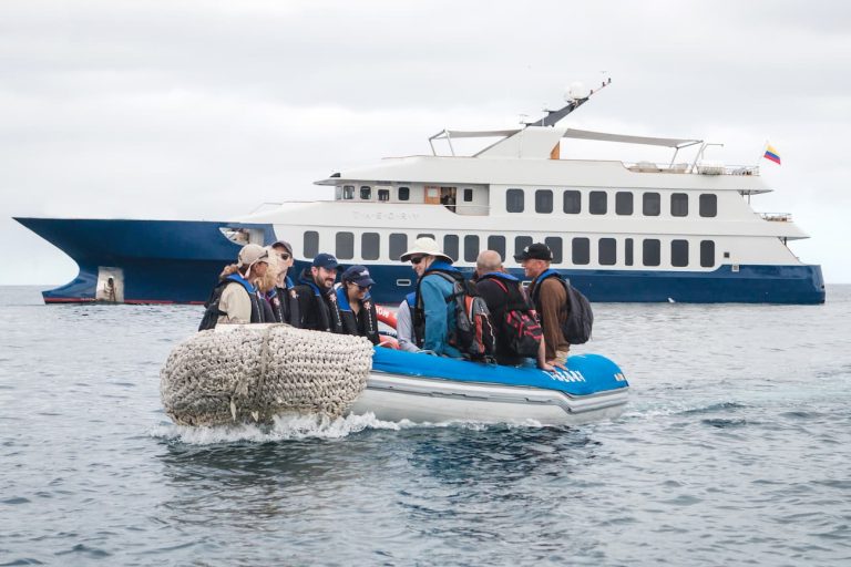 Best Time to Take a Luxury Galapagos Cruise