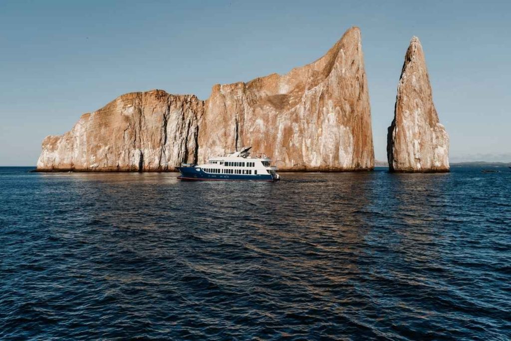 Best Galapagos Cruise for Wildlife