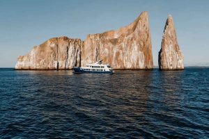 Best Galapagos Cruise for Wildlife