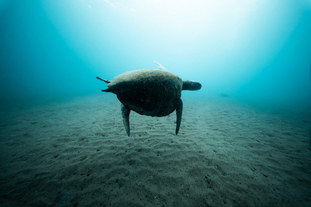 galapagos island with freshwater lake