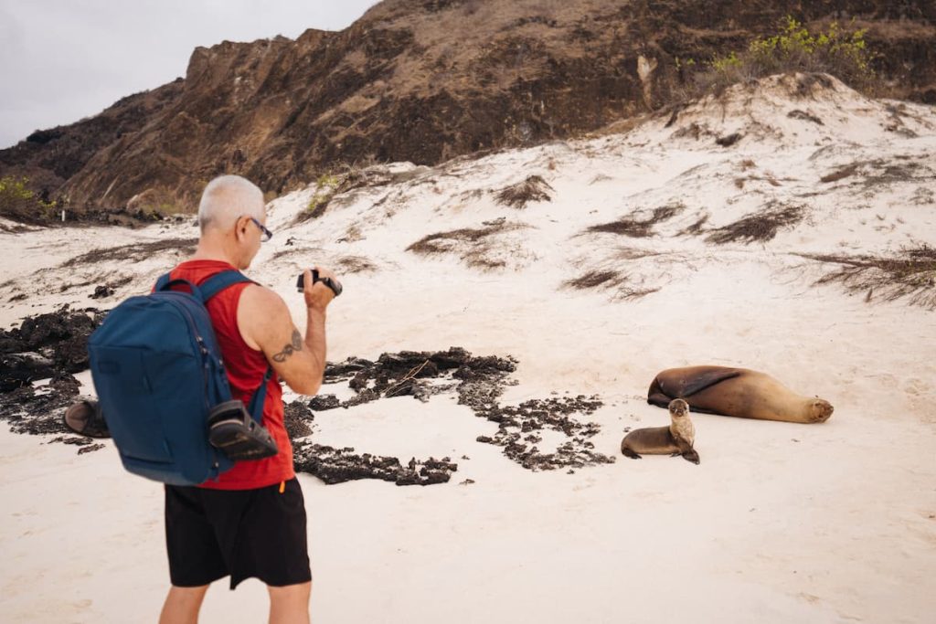 san cristobal mockingbird endemic species