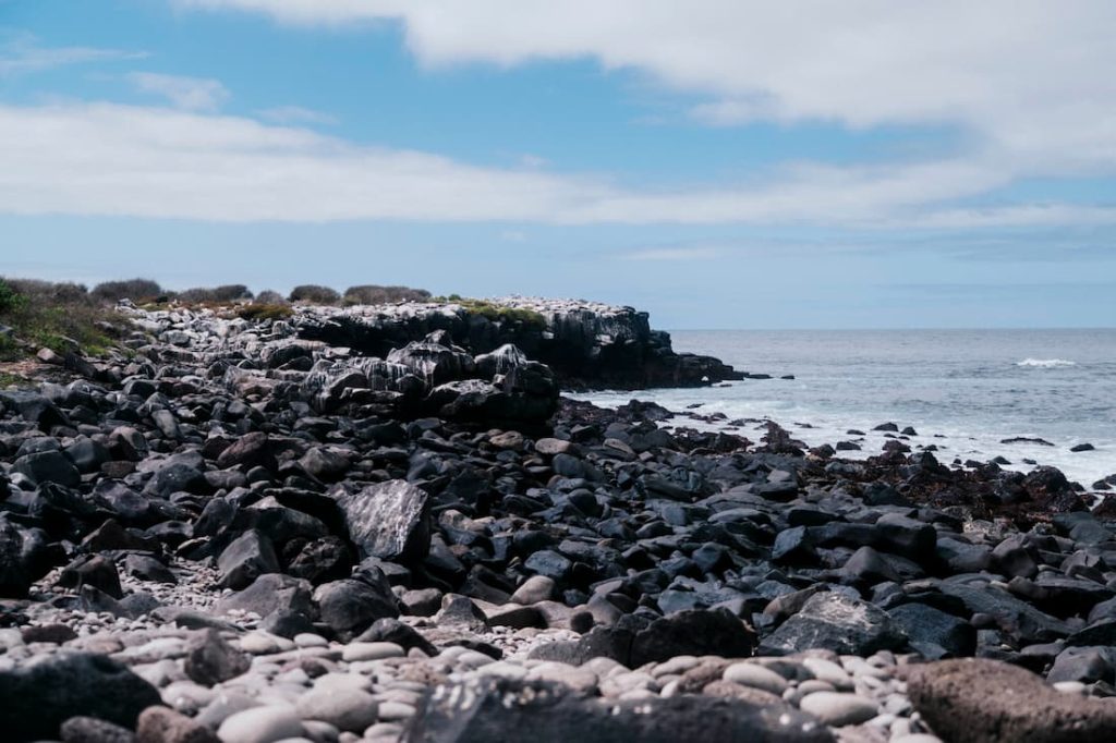 Punta Suarez wildlife experience Galapagos