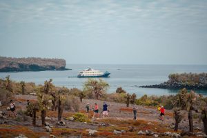 The Rise of Expedition Cruising — and Why the Galapagos Stands Apart