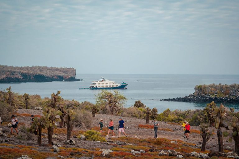 The Rise of Expedition Cruising — and Why the Galapagos Stands Apart