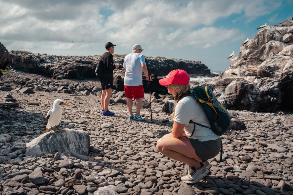galapagos photo