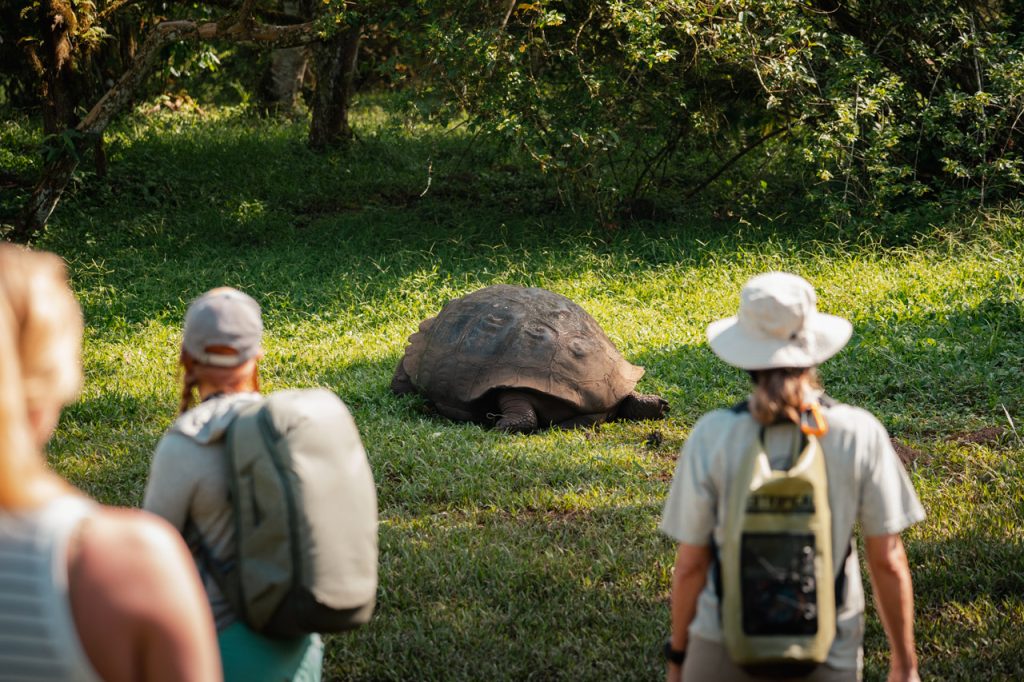 galapagos photo